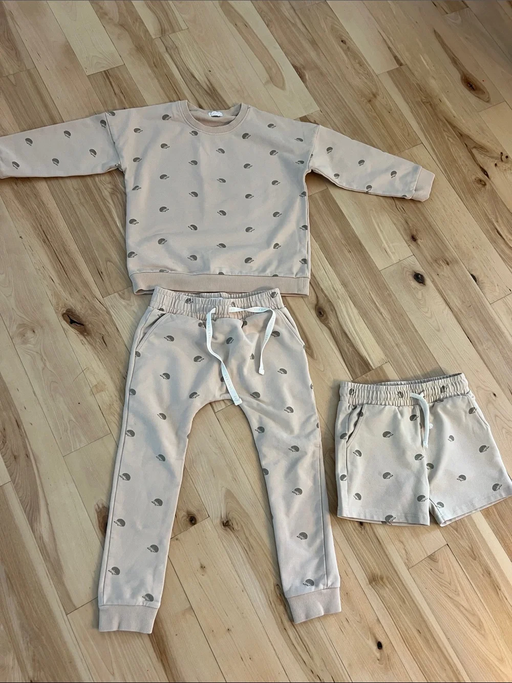 Jamie Kay Beige Sweatshirt & Jogger Set with Gray      Hedgehog Print